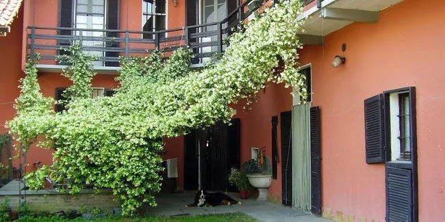 Cascina Isola Maria - Image 1