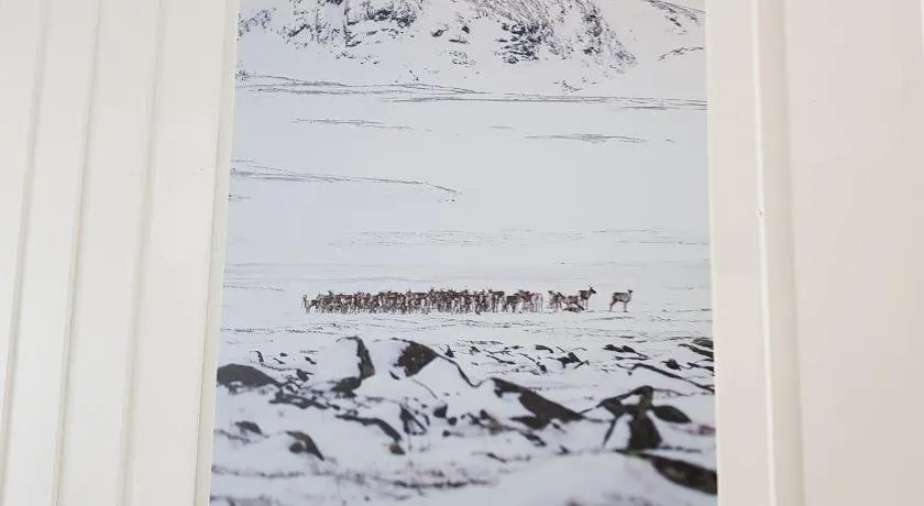 Dombås Gjestehus - Image 1