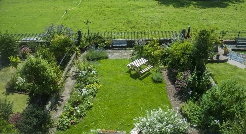 The Fern Suite - Image 1