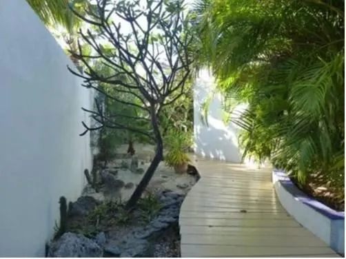Parrot Villa - Image 1