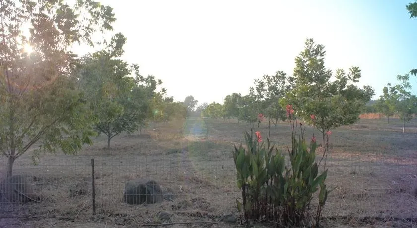 Hosting Orchard - Image 1