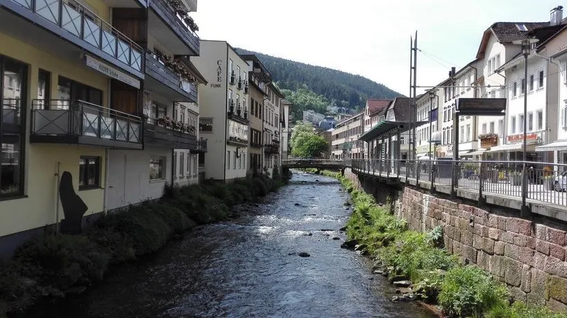 Ferienwohnungen Wildbadferien - Image 1