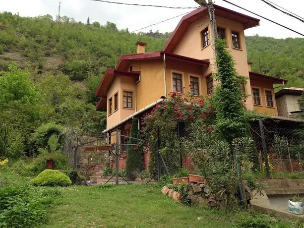 Eyuboglu Konagi - Image 1