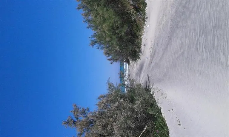 DOMEKALE - Image 1