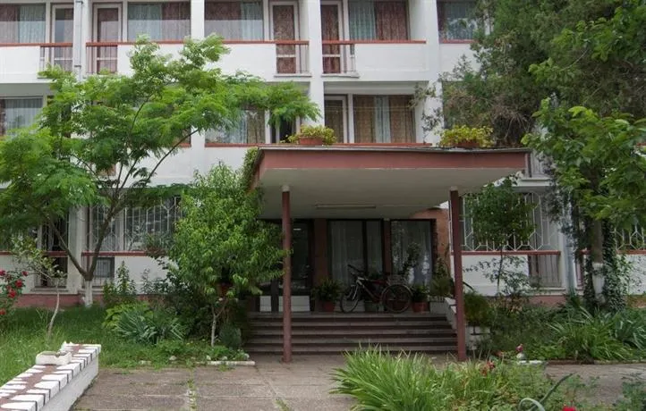 Diana - Image 1