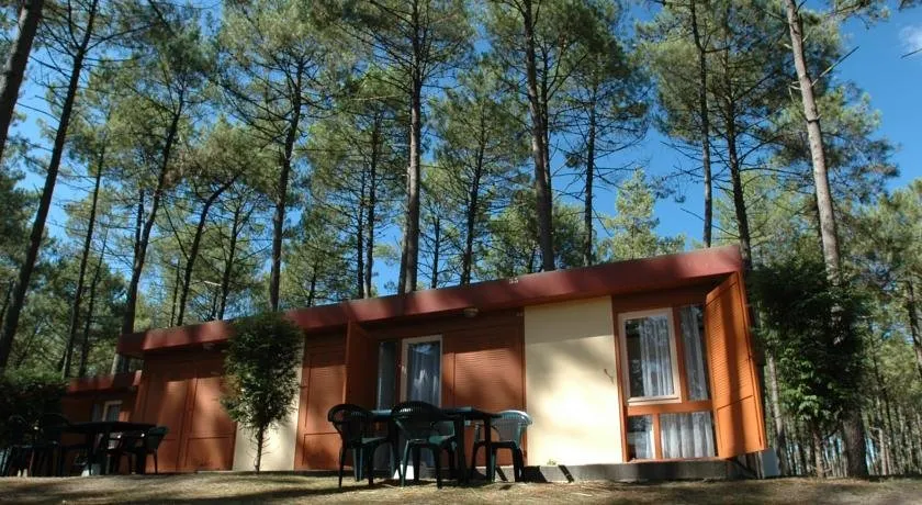 Résidence Club Odalys - Les Villages sous les Pins - Les Arbousiers - Image 1
