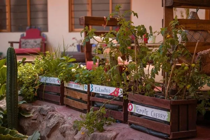 Pakakuna Posada Gourmet - Image 1
