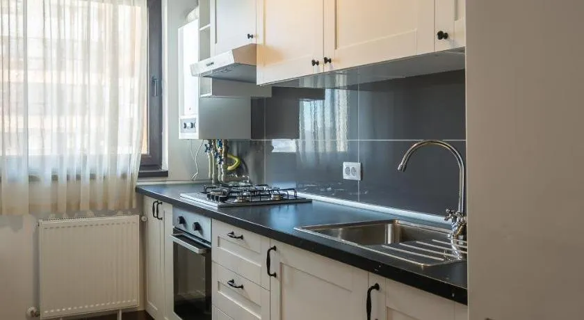 Basarab Luxury Apartments - Image 1