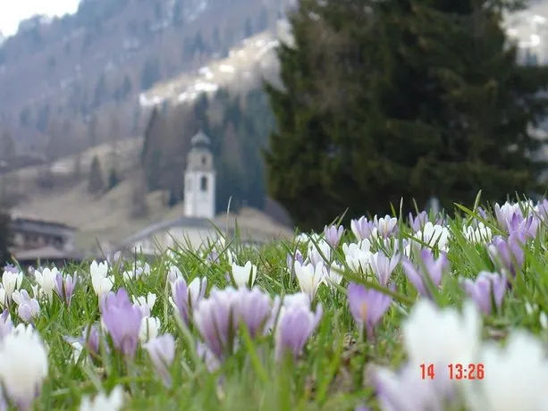 CHALET PA MAURAR Sauris - Image 1