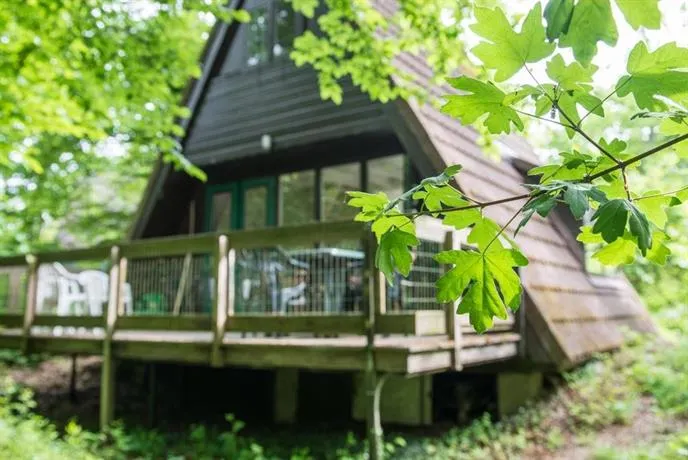CHALET CLEMENTINE - Image 1