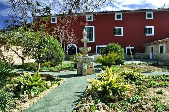 Son Amora - Image 1