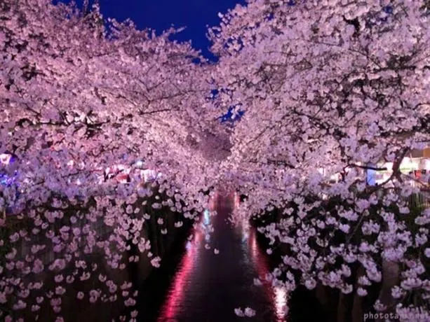 Good Access From Haneda -5Min To Shibuya -10Min To Shinjuku - Image 1