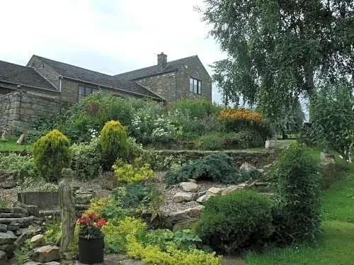 Gorse Grove - Image 1