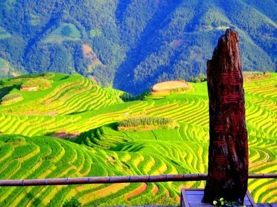 Long Ji Xing Yao Hotel - Image 1