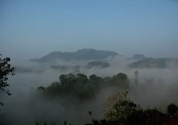 Rainforest Edge - Image 1