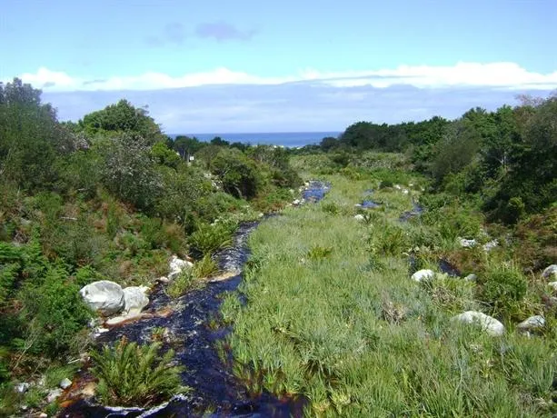 Vlei Studio - Image 1