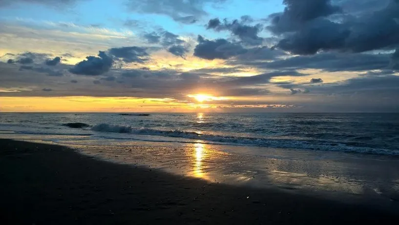 Seas The Day Zandvoort - Image 1