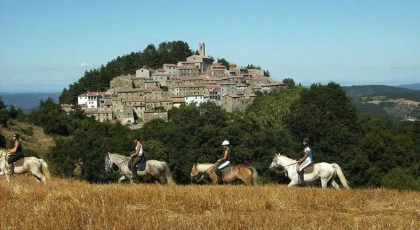 Luciano e Norma House Il Rustico - Image 1