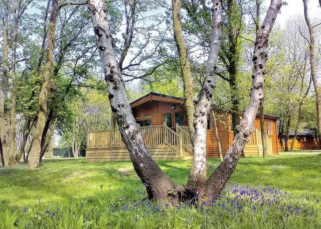 Bluewood Lodges - Image 1