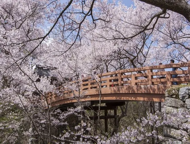 Takato Onsen Takato Sakura Hotel - Image 1