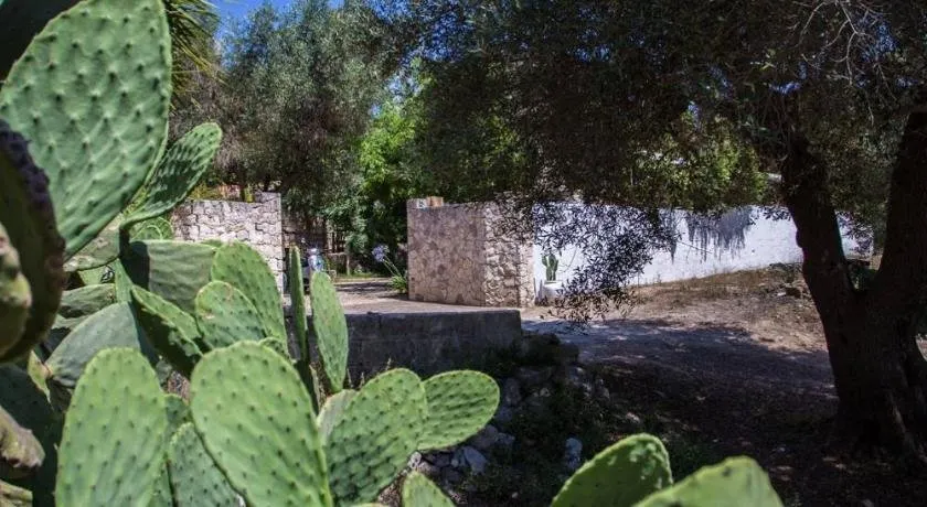 Cava Degli Ulivi - Image 1