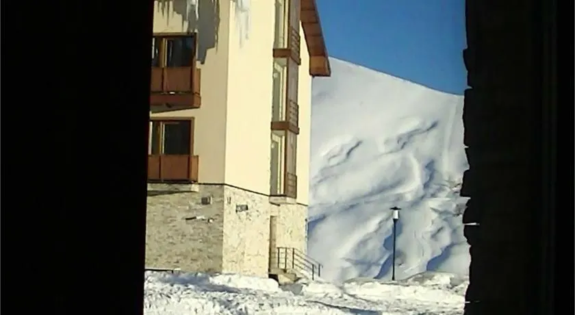 White Tiger in New Gudauri II - Image 1