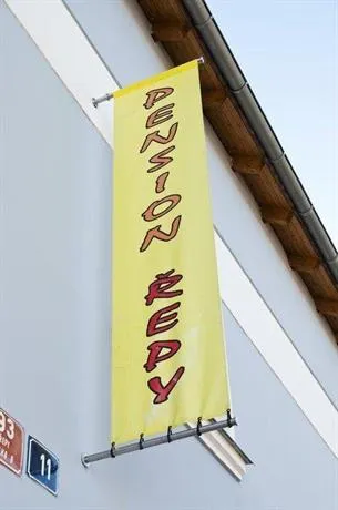 Pension Repy - Image 1