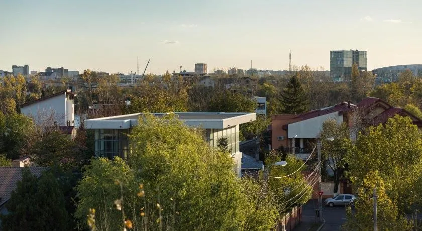 The Shades of Grey - Image 1