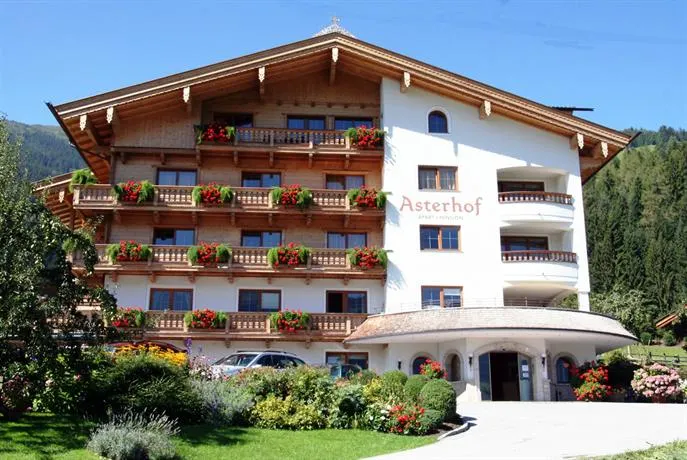 ApartHotel Asterhof - Image 1