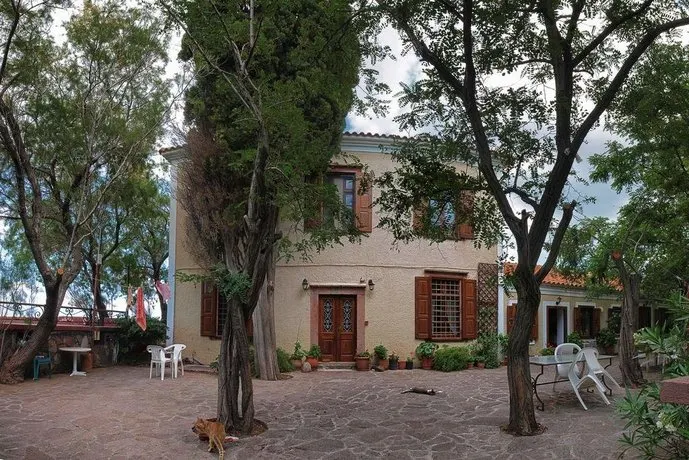 Olive Grove - Image 1