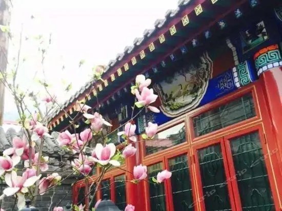 Yu's Courtyard - Image 1