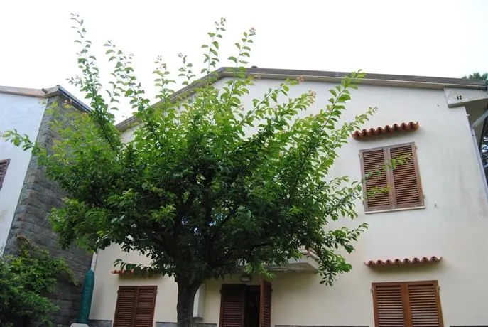 Il Susino - Image 1