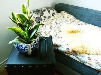 Double N Apartment - Image 1