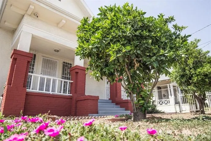 Avocado House - Image 1