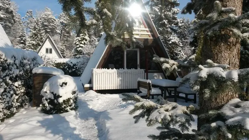 Nurdachhaus Ferienpark Schellbronn - Image 1