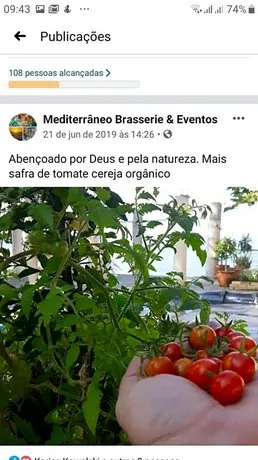 Mediterraneo - Image 1