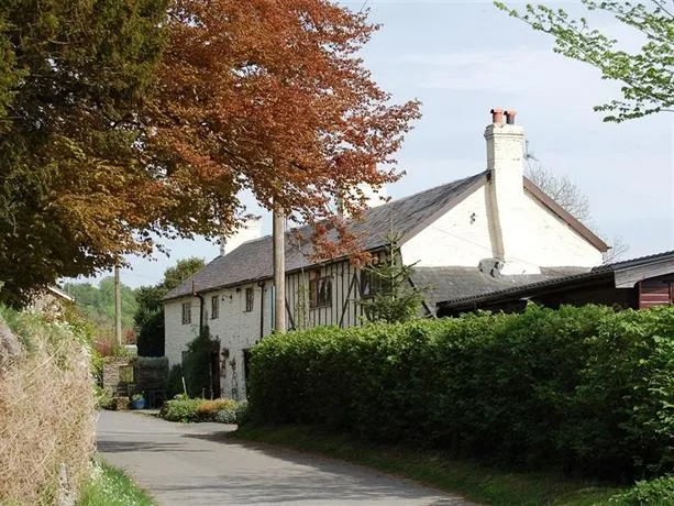 The Waterdine Inn Knighton - Image 1