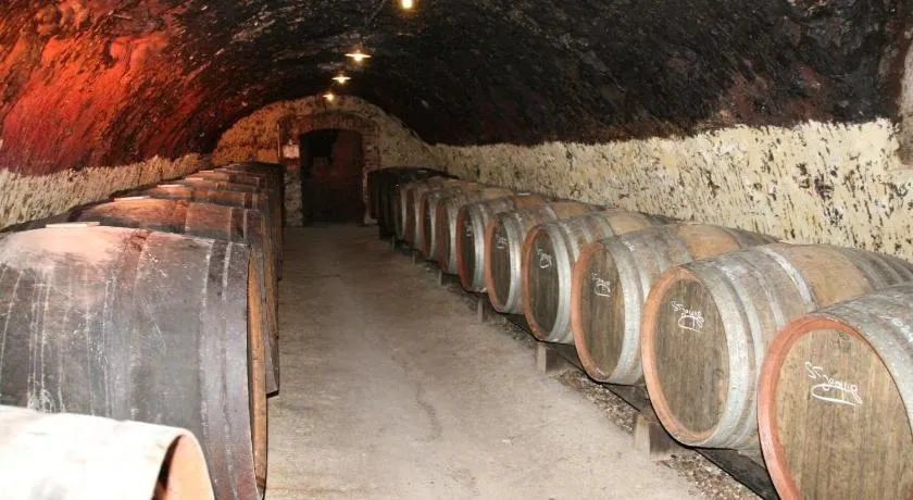 Domaine Gigou - Image 1