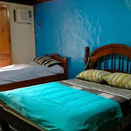 Hostel Barra da Tijuca Tree House - Image 1
