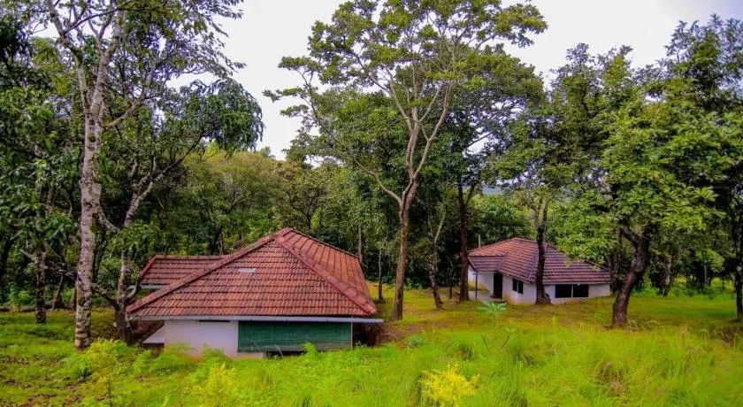 Aadhavana Homestay - Sakleshpur - Image 1