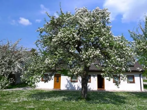 Gästehaus Apfelbaum - Image 1
