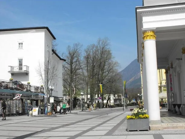 Alpenwiesen - Image 1