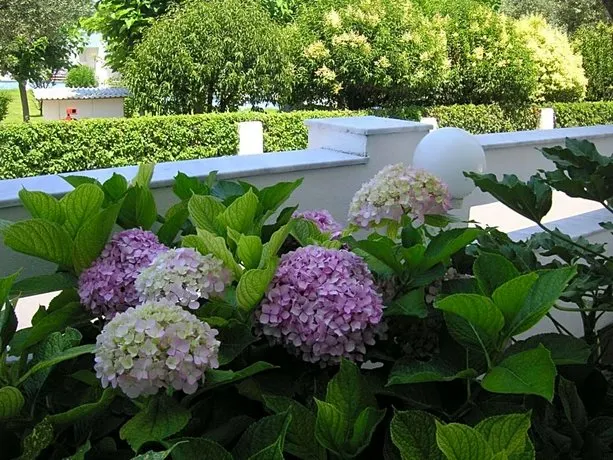Danae Hotel - Image 1
