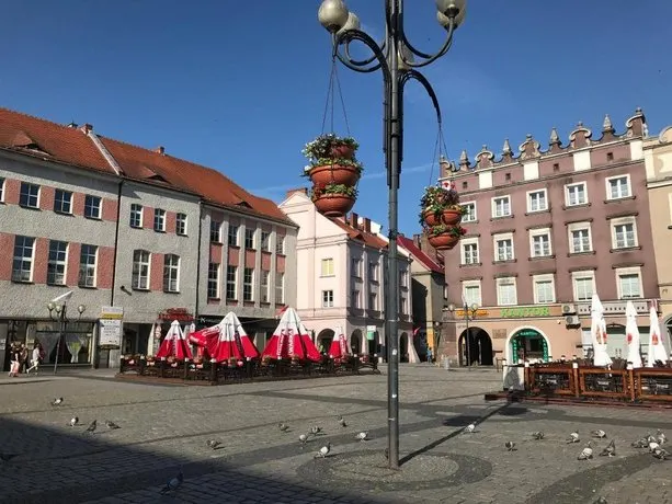 Sokoł - Image 1