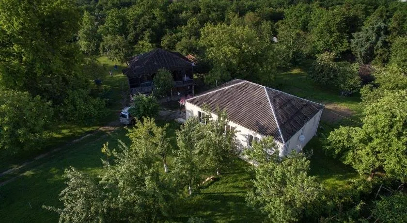 Beautiful Georgia Guesthouse - Image 1