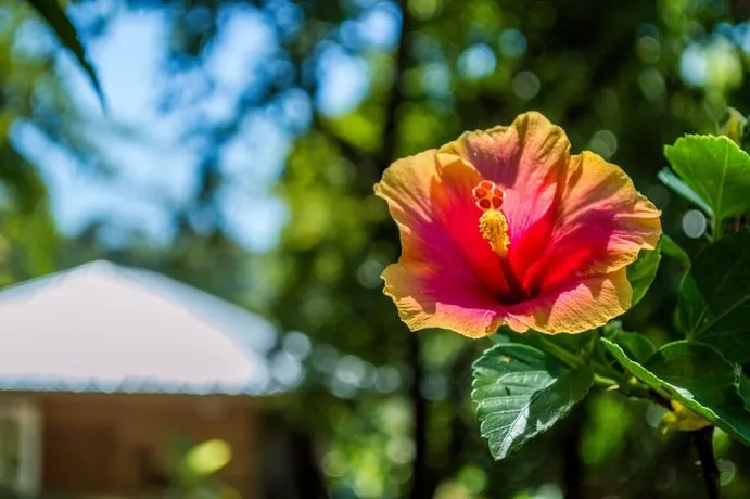 Marble Hill Farms - Image 1