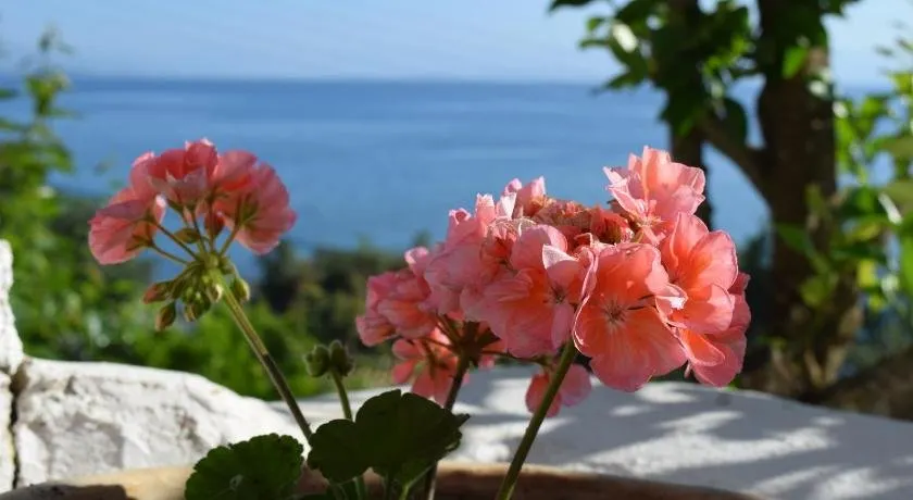 Eden Sea View Studios - Image 1