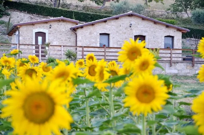 Agriturismo Fontefredda - Image 1