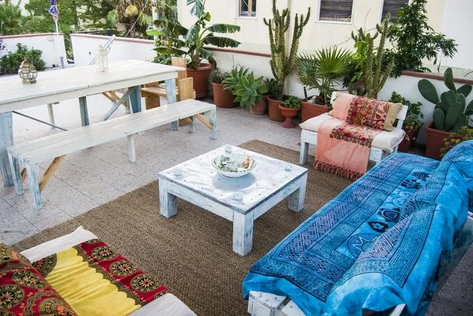 B&B Cactus - Image 1