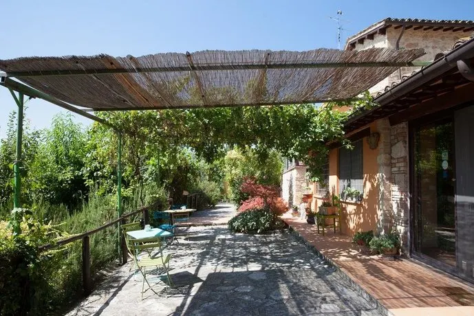 L'Oro di Cicognola - Image 1